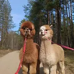 W Kurniku Z Jacuzzy * Luban (Koscierzyna)