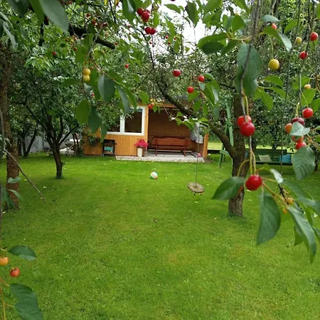 W Kurniku Z Jacuzzy アパート *