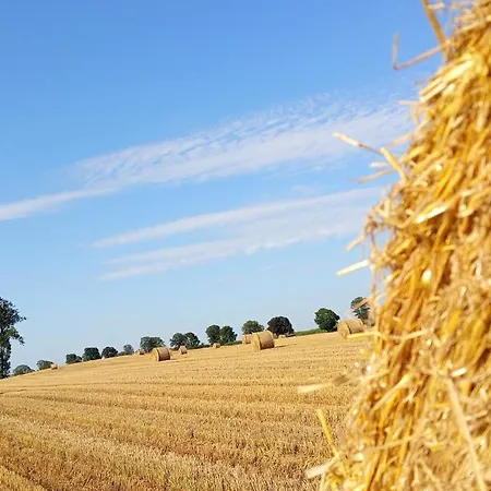 アパート W Kurniku Z Jacuzzy Luban (Koscierzyna)