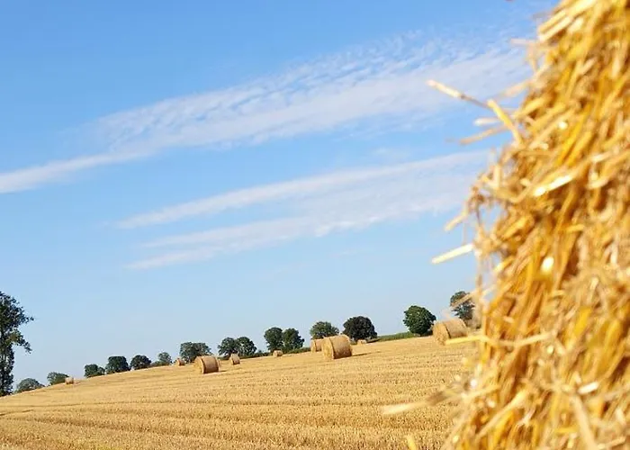 Apartment W Kurniku Z Jacuzzy Luban (Koscierzyna)
